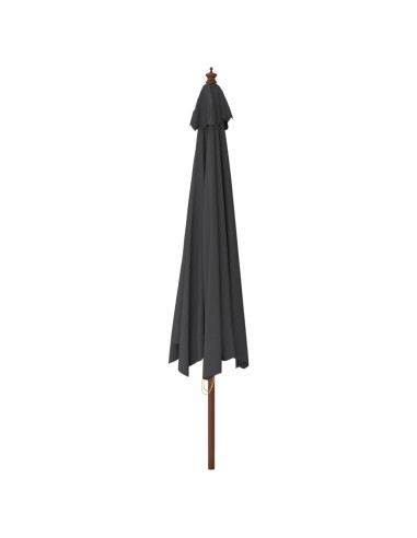 Ombrellone da Giardino con Palo in Legno Nero 400x273 cm