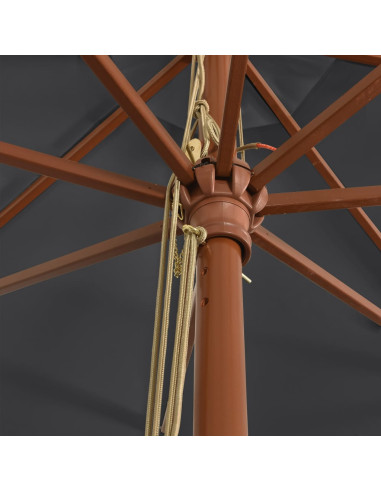 Ombrellone da Giardino con Palo in Legno Nero 400x273 cm