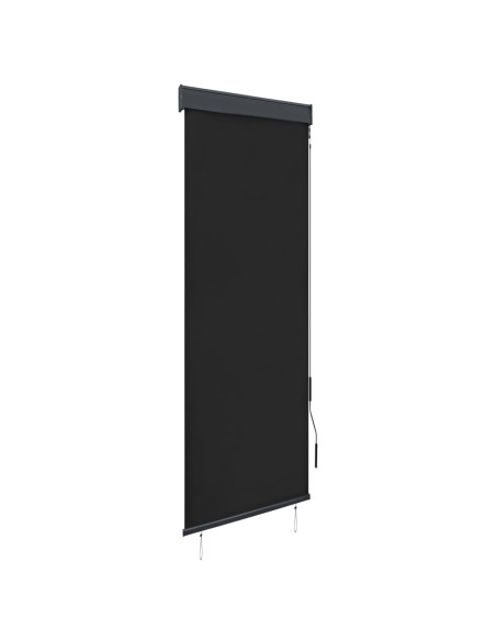 Tenda a Rullo per Esterni 60x250 cm Antracite
