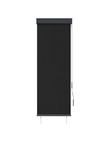 Tenda a Rullo per Esterni 60x250 cm Antracite