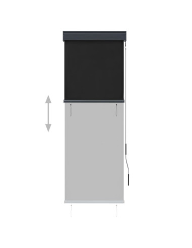 Tenda a Rullo per Esterni 60x250 cm Antracite