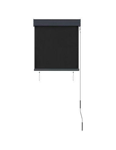 Tenda a Rullo per Esterni 60x250 cm Antracite
