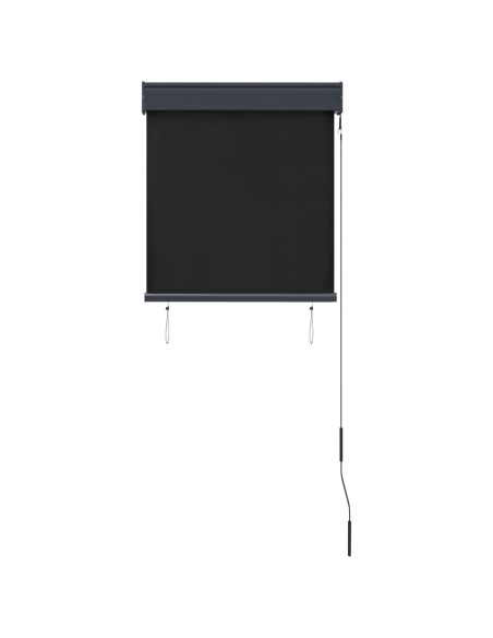 Tenda a Rullo per Esterni 60x250 cm Antracite
