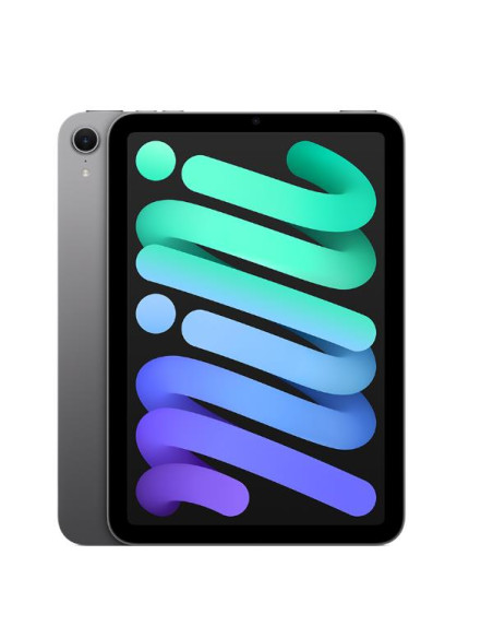 IPAD MINI WI-FI CL 256GB SP GR
