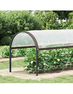 Copertura per Piante con Occhielli 2x3 m in Polietilene 2