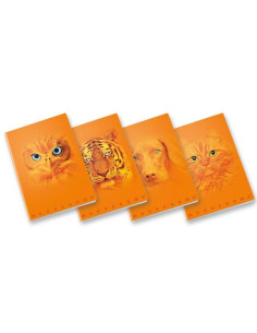 CF10 ORANGE A4 100GR R.5M FF38