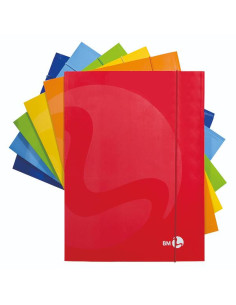 CF10 CARTELLA 3 LEMBI COLOR COL ASS 2