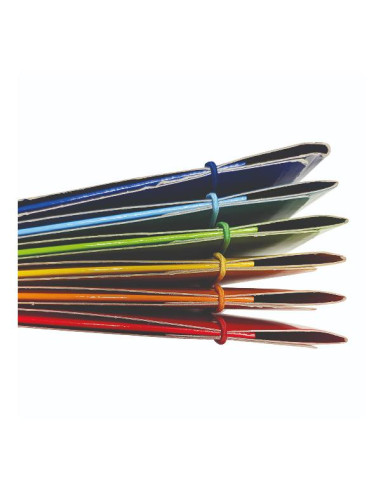 CF10 CARTELLA 3 LEMBI COLOR COL ASS