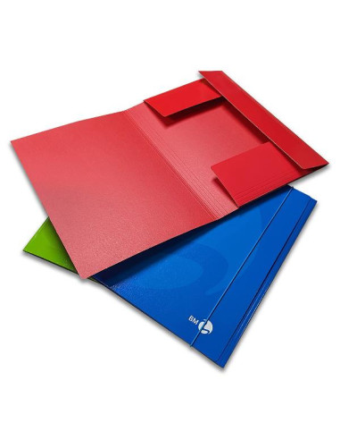 CF10 CARTELLA 3 LEMBI COLOR COL ASS