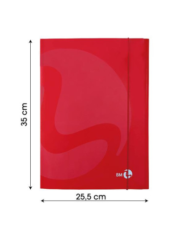 CF10 CARTELLA 3 LEMBI COLOR COL ASS