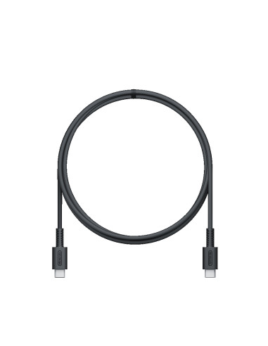 Nintendo 10015096 Caricabatterie per dispositivi mobili Console portatile Nero AC Interno