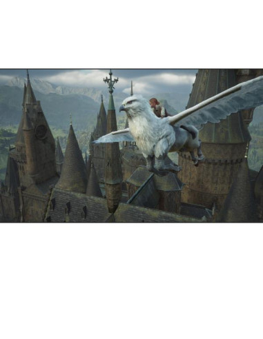 HOGWARTS LEGACY SWITCH 2