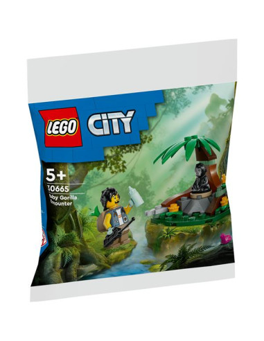 L INCONTRO CON CUCCIOLO DI GORILLA