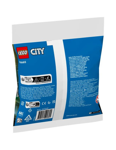 L INCONTRO CON CUCCIOLO DI GORILLA