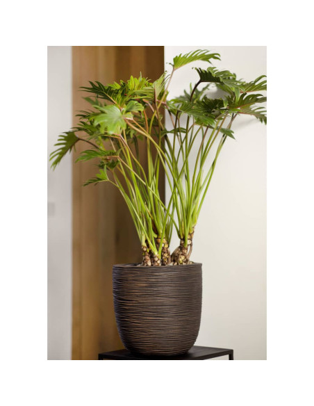 Capi Vaso Rotondo Nature Rib 43x41 cm Marrone Scuro