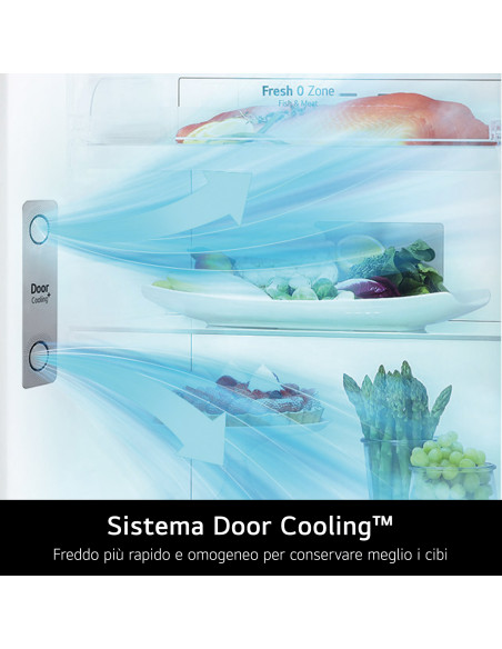 LG GTBV36PZGKD Frigorifero doppia porta 70cm, Classe E, 395L, Door & Linear Cooling, Inox