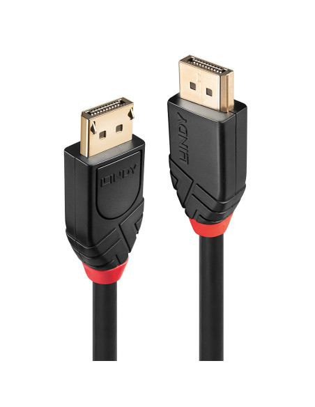 Lindy 41078 cavo DisplayPort 10 m Nero
