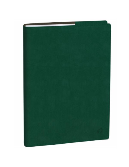 AGENDA PROFESSORE IT CLUB VERDE ING
