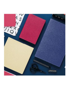 AGENDA PROFESSORE IT CLUB LAMPONE 2