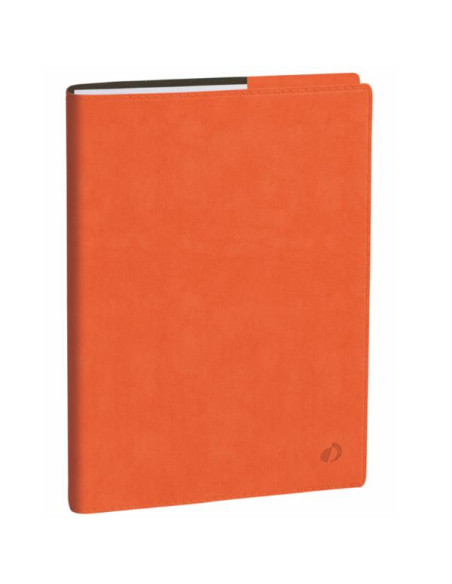 AGENDA PROFESSORE IT CLUB ARANCIO