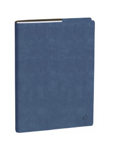 AGENDA PROFESSORE IT CLUB BLU GHIAC