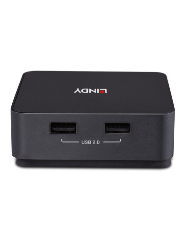 Lindy 42321 switch per keyboard-video-mouse (kvm) Grigio