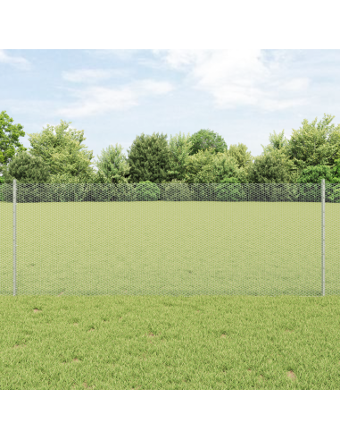 Recinzione con Posto Argento 0,8 x 10 m Acciaio