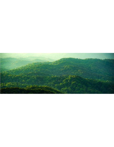 DELL 22 MONITOR - SE2225HM