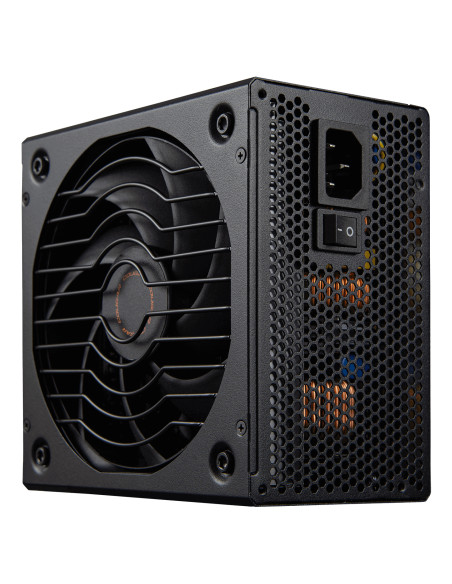 COUGAR CGRGLE-1000 alimentatore per computer 1000 W 20+4 pin ATX ATX Nero