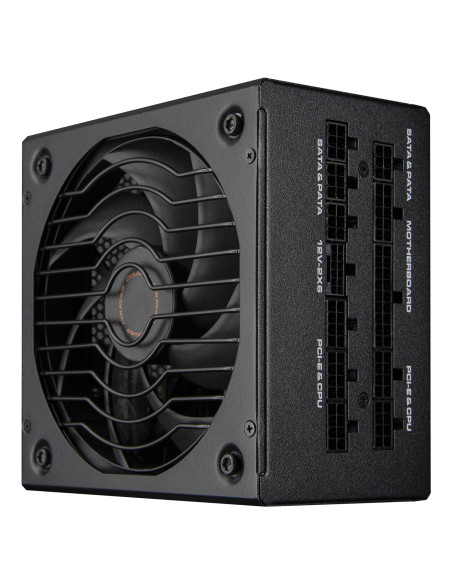 COUGAR CGRGLE-1000 alimentatore per computer 1000 W 20+4 pin ATX ATX Nero