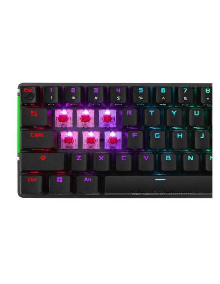 M601 ROG FALCHION NX/NXRD/IT