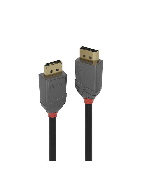 Lindy 36480 cavo DisplayPort 0,5 m Nero