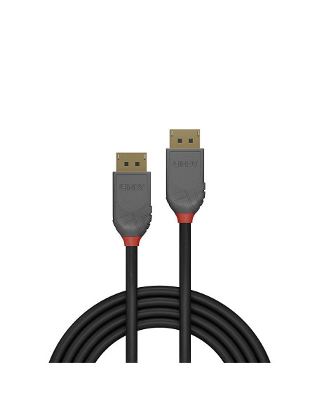 Lindy 36480 cavo DisplayPort 0,5 m Nero