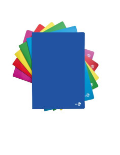 CF10 QUAD. COLOR PPL A4 80GR R.4MM 2