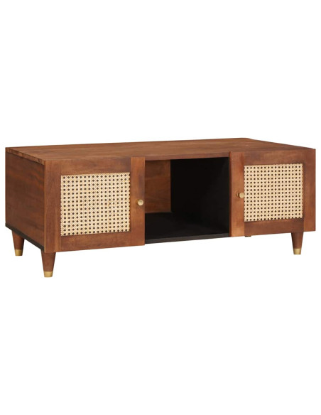 Tavolini da salotto con lo scaffale con archiviazione con porta Marrone 100 x 54 x 40 cm