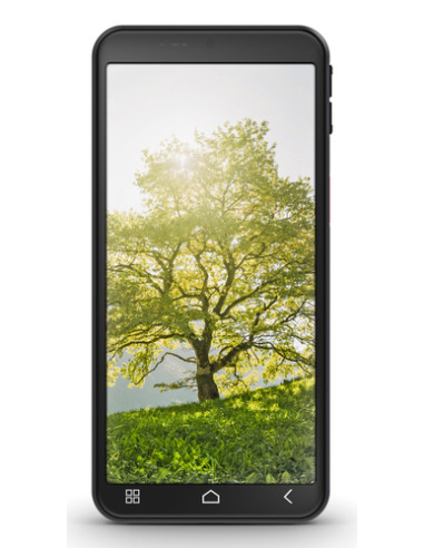 Emporia emporiaSMART.ME7 13,8 cm (5.45") SIM singola Android 15 4G USB tipo-C 6 GB 128 GB 3500 mAh Nero