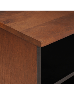 Mobile TV Marrone 100 x 33,5 x 46 cm Legno di mango massello 2