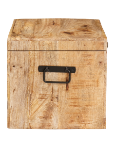 Scatola di Stoccaggio con porta Marrone Legno di mango massello