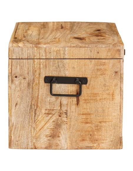 Scatola di Stoccaggio con porta Marrone Legno di mango massello