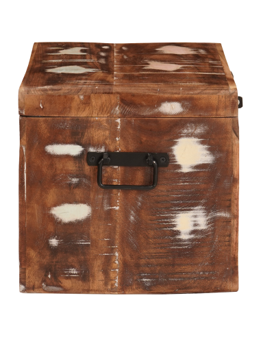 Scatola di Stoccaggio con porta Marrone Legno di mango massello