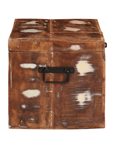 Scatola di Stoccaggio con porta Marrone Legno di mango massello