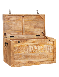 Scatola di Stoccaggio con porta Marrone Legno di mango massello 2
