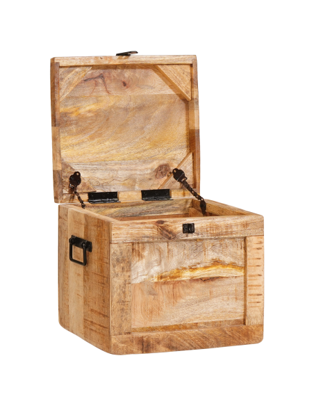 Scatola di Stoccaggio con porta Marrone Legno di mango massello