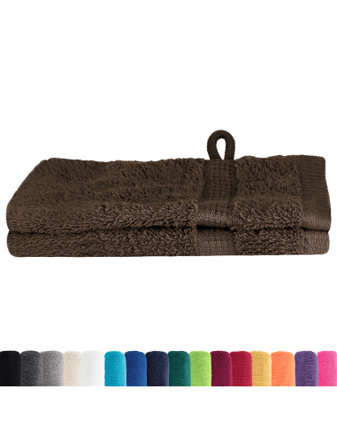 Asciugamano per Ospiti SOLUND Marrone 550 gsm