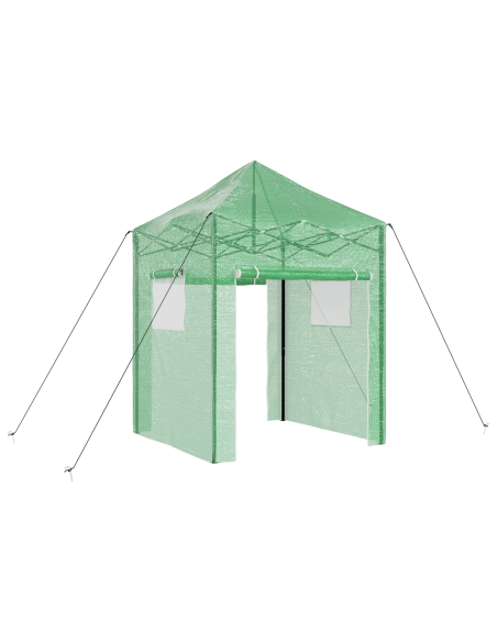 Serra con tetto Verde 200 x 200 x 300 cm Acciaio