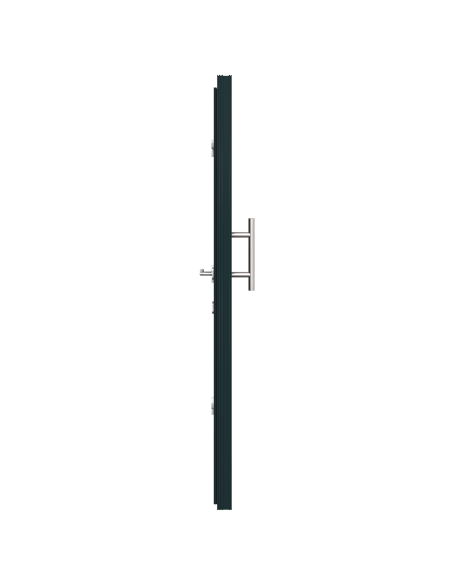 Porta d'ingresso Antracite 88 x 200 cm PVC