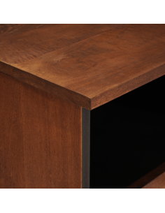 Mobile TV Marrone 100 x 33,5 x 46 cm Legno di mango massello 2