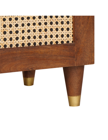 Mobile TV Marrone 100 x 33,5 x 46 cm Legno di mango massello