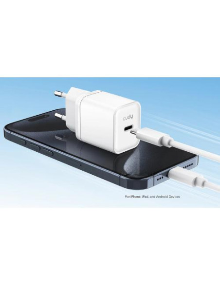 CARICA BATTERIA USB-C 20W QC+PD3.0 X IPHONE DA SERIE 12/GALAXY/IPAD
