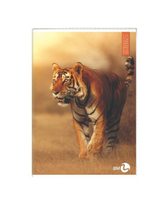 CF 10 QUADERNI ANIMAL A4 80GR R.10F 2